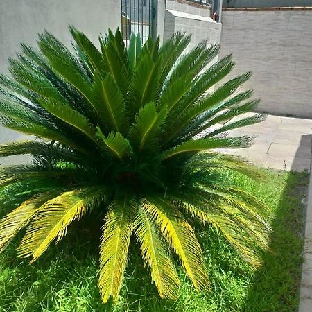 Casa Agradavel Em Camboriu Com Estacionamento No Patio Villa Exteriör bild