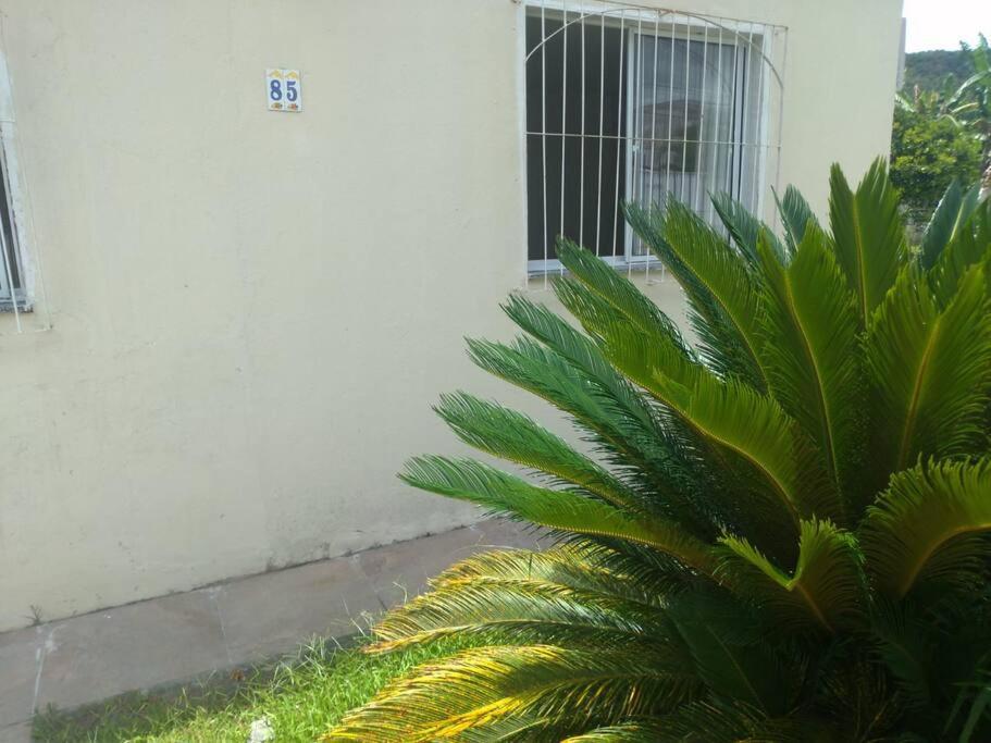 Casa Agradavel Em Camboriu Com Estacionamento No Patio Villa Exteriör bild