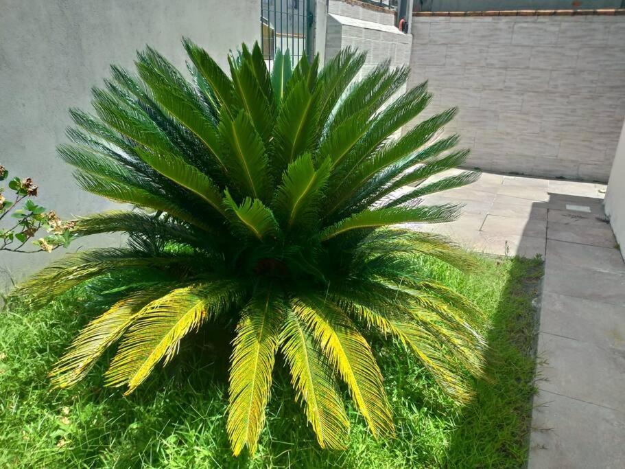 Casa Agradavel Em Camboriu Com Estacionamento No Patio Villa Exteriör bild